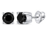 1.00 Carat (ctw) Solitaire Stud Enhanced Black Diamond Earrings in 10K White Gold